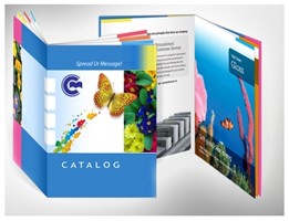 Bảng báo giá in catalogue A4 Hà Nội
