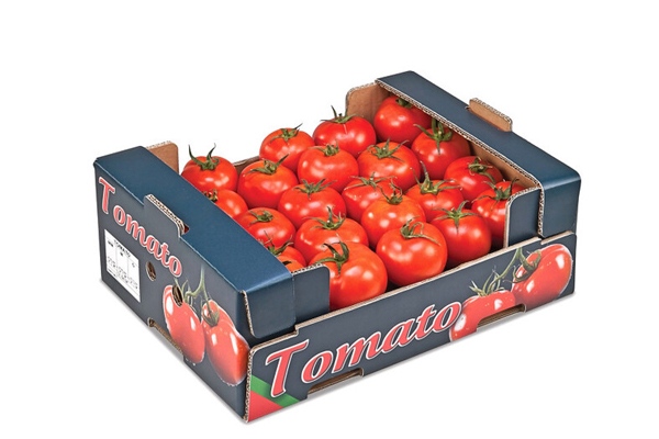 In thùng carton đựng cà chua