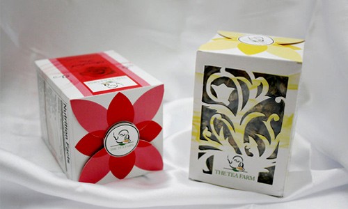 Thiết kế bao bì sản phẩm đẹp