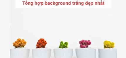 Những mẫu background trắng đẹp nhất