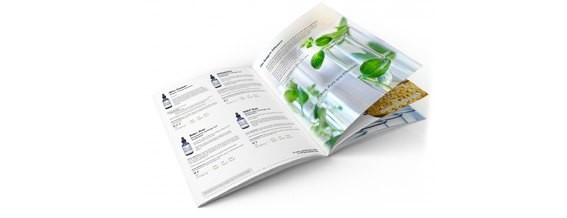 Hướng dẫn thiết kế catalogue chuyên nghiệp