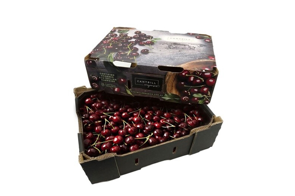 Mẫu hộp carton đựng cherry